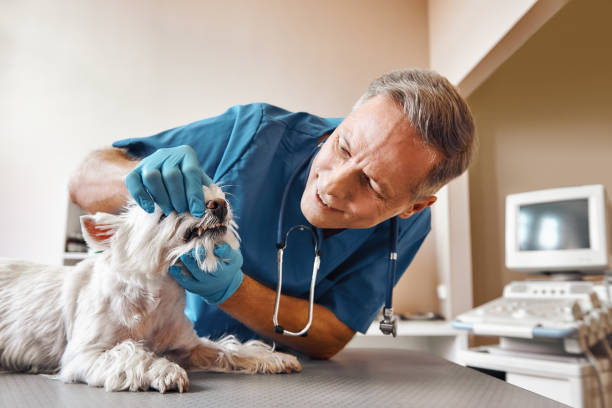Best Knocked-Out Tooth Emergency  in Ocklawaha, FL